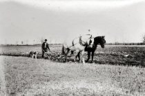 Edward Lupton Irish plowing a